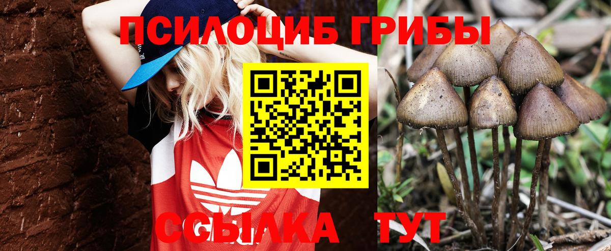 Псилоцибиновые грибы Psilocybine cubensis  Вход с VPN  Узловая 