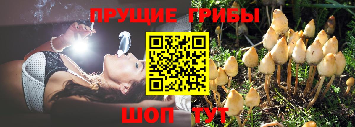 Псилоцибиновые грибы мицелий Узловая
